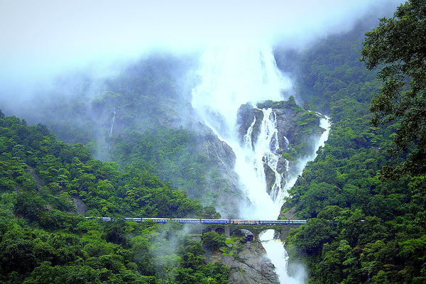 Adventure Jeep Safari to Dudhsagar Waterfall (Goa): Stay in Deluxe Eco-cottage with All Meals (Veg/Non-Veg), Dudhsagar Visit via Bhagwan Mahaveer Sanctuary & Crossing 3 Rivers, Barbecue, Fish Pedicure, Campfire & More!