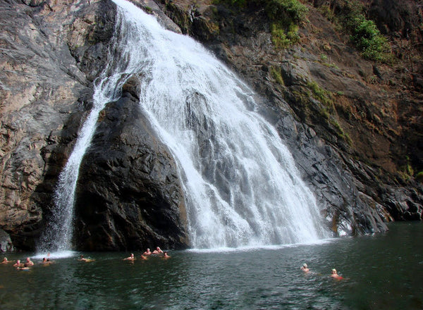 Adventure Jeep Safari to Dudhsagar Waterfall (Goa): Stay in Deluxe Eco-cottage with All Meals (Veg/Non-Veg), Dudhsagar Visit via Bhagwan Mahaveer Sanctuary & Crossing 3 Rivers, Barbecue, Fish Pedicure, Campfire & More!