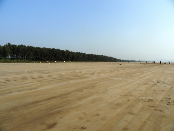 Nagaon Beach (Alibaug) : Stay in standard room with all meals (Veg/Non-Veg), Swimming Pool & MORE!