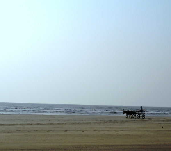 Nagaon Beach (Alibaug) : Stay in standard room with all meals (Veg/Non-Veg), Swimming Pool & MORE!