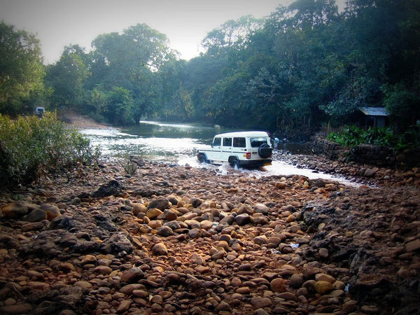 Adventure Jeep Safari to Dudhsagar Waterfall (Goa): Stay in Deluxe Eco-cottage with All Meals (Veg/Non-Veg), Dudhsagar Visit via Bhagwan Mahaveer Sanctuary & Crossing 3 Rivers, Barbecue, Fish Pedicure, Campfire & More!