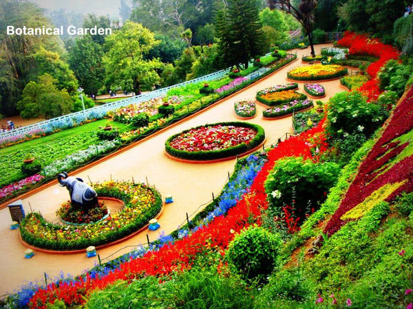 Ooty (queen of hill stations):- 4Nights / 5Days: Stay in 3 Star Hotel + Ooty-Coonoor Sightseeing  & More!