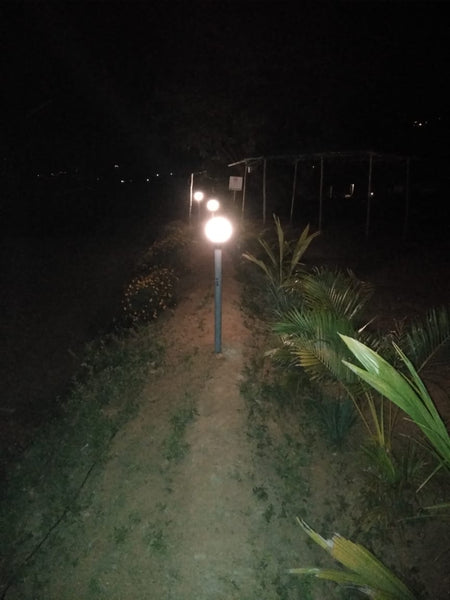 Pawna (Campsite R4): Lakeside camping with magnificent view of Tung fort & Pawna lake