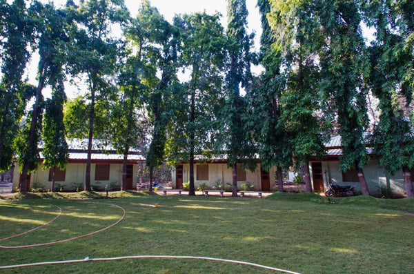 Nagzira : 3 Nights Stay in Jungle, 6 Jungle Safaris in Open Gypsy with Experience Guide, Breakfast & More!