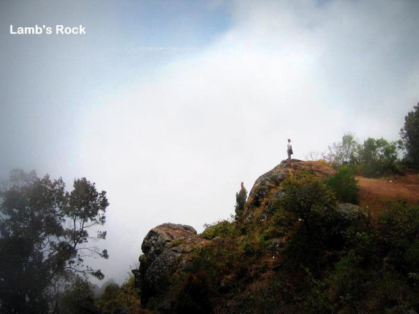 Ooty (queen of hill stations):- 4Nights / 5Days: Stay in 3 Star Hotel + Ooty-Coonoor Sightseeing  & More!