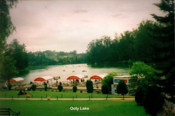 Ooty (queen of hill stations):- 4Nights / 5Days: Stay in 3 Star Hotel + Ooty-Coonoor Sightseeing  & More!