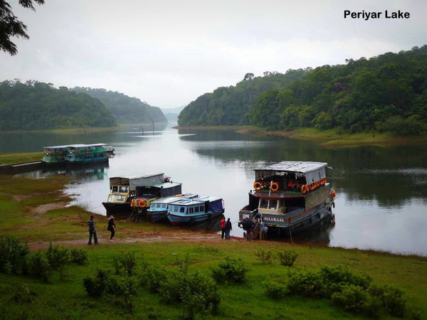 Kerala (6N/7D): Stay in 3 Star Hotels + 2 Nights in Munnar + 2 Nights in Thekkady + 1Night stay in AC Deluxe Houseboat at Alleppey (Kerala Backwaters) + 1 Night in Cochin & More!