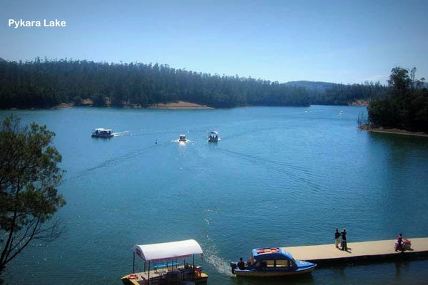 Ooty (queen of hill stations):- 4Nights / 5Days: Stay in 3 Star Hotel + Ooty-Coonoor Sightseeing  & More!
