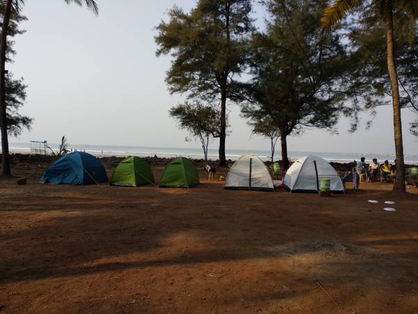 Beachside camping at Shrivardhan (Raptor Camping)